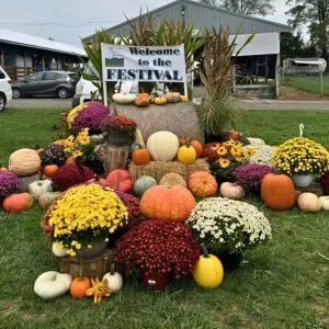The Mountain Heritage Arts & Crafts Festival