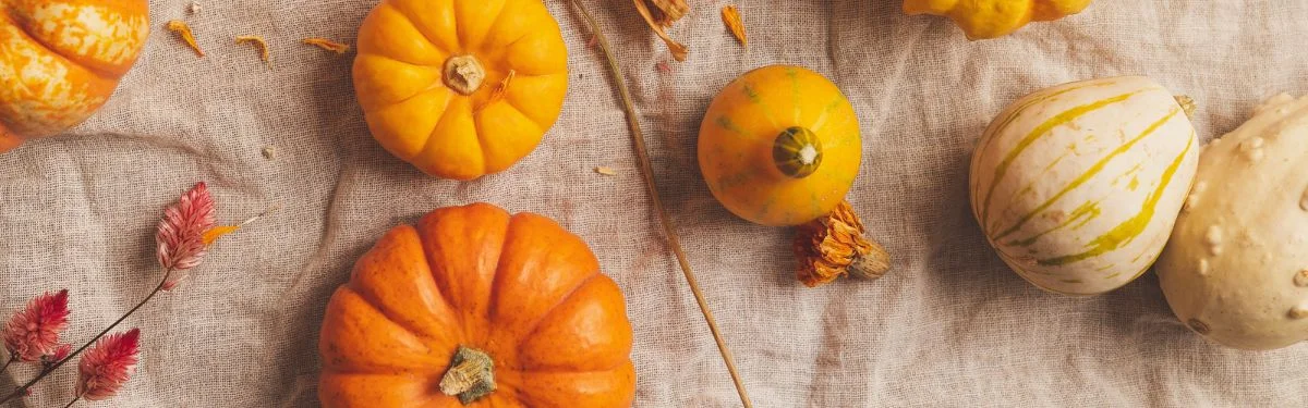 Pumpkin Patches near Charles Town West Virginia